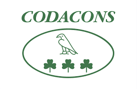 Codacons per truffa online